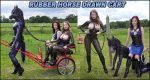 The English Mansion – Mistress Lola Ruin, Mistress T – Rubber Horse Drawn Cart